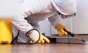 Professional Pest Control in Crosbyton, TX